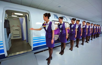 �߶�������ѵ